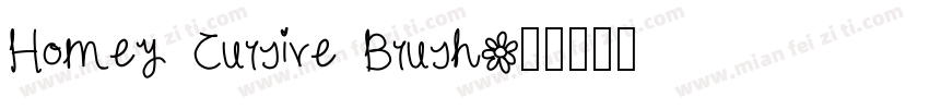 Homey Cursive Brush字体转换